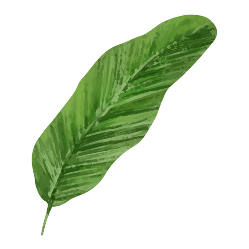 ícone de folha de planta tropical Desenho PNG