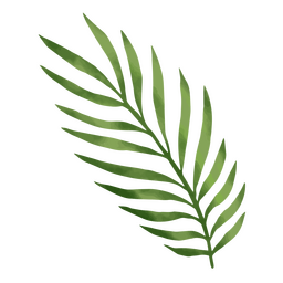 Tropical summer plant leaf icon PNG Design