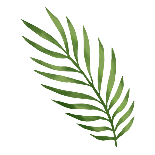 Ícone de folha de planta tropical de verão Desenho PNG