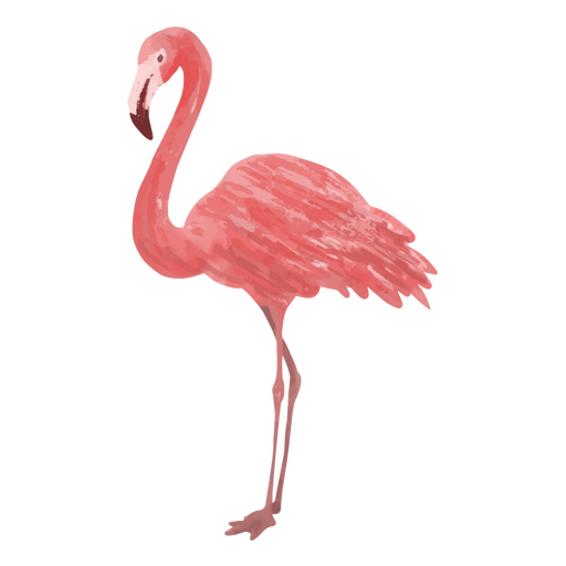 ?cone de flamingo tropical Desenho PNG