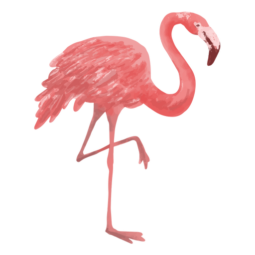 Ícone de flamingo aquarela tropical Desenho PNG