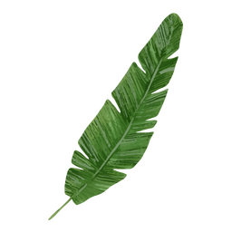Tropical watercolor leaf icon PNG Design