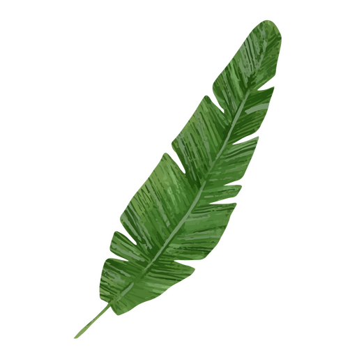 ícone de folha de aquarela tropical Desenho PNG