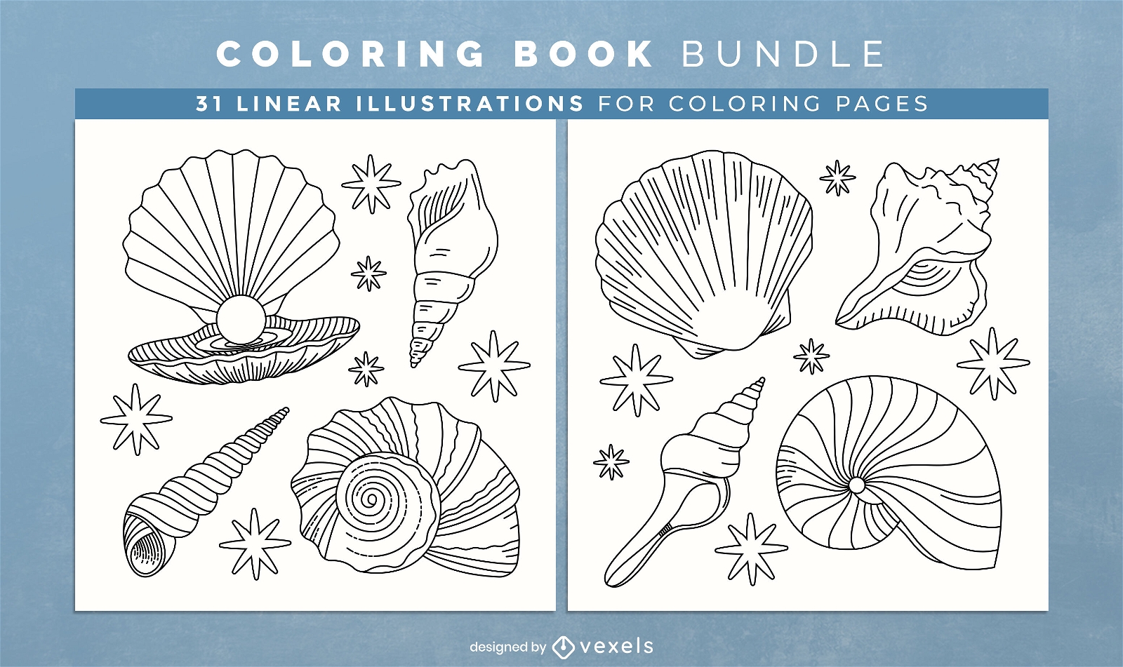 Diseño de páginas de libro para colorear de conchas marinas