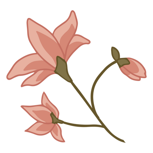 Hermosa flor mística Diseño PNG