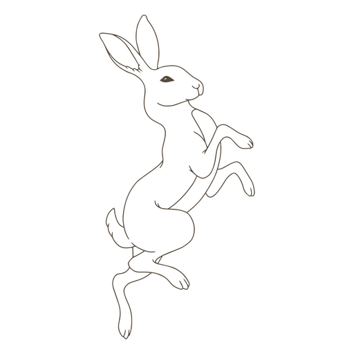 Mystic rabbit jump simple animal PNG Design