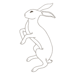Mystic side rabbit simple animal PNG Design
