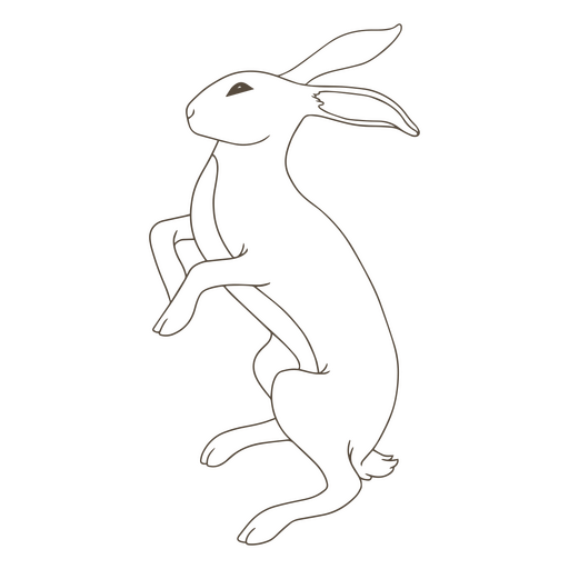 Animal simples de coelho lateral m?stico Desenho PNG