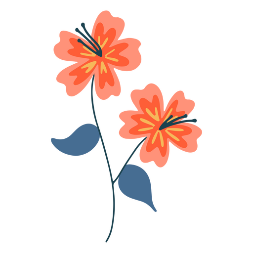 Einfache, zarte, flache Blumenpflanze PNG-Design