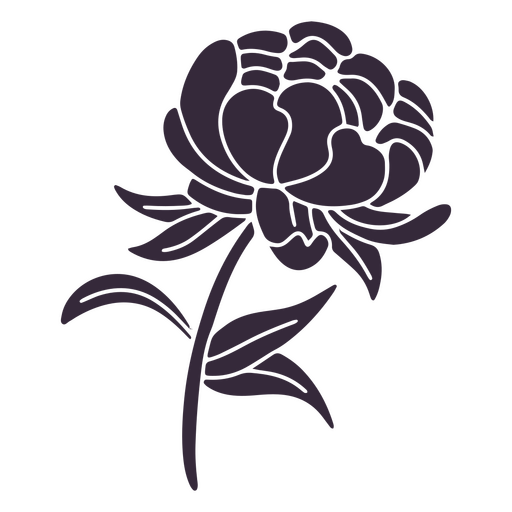 Flor recortada de peon?a Diseño PNG