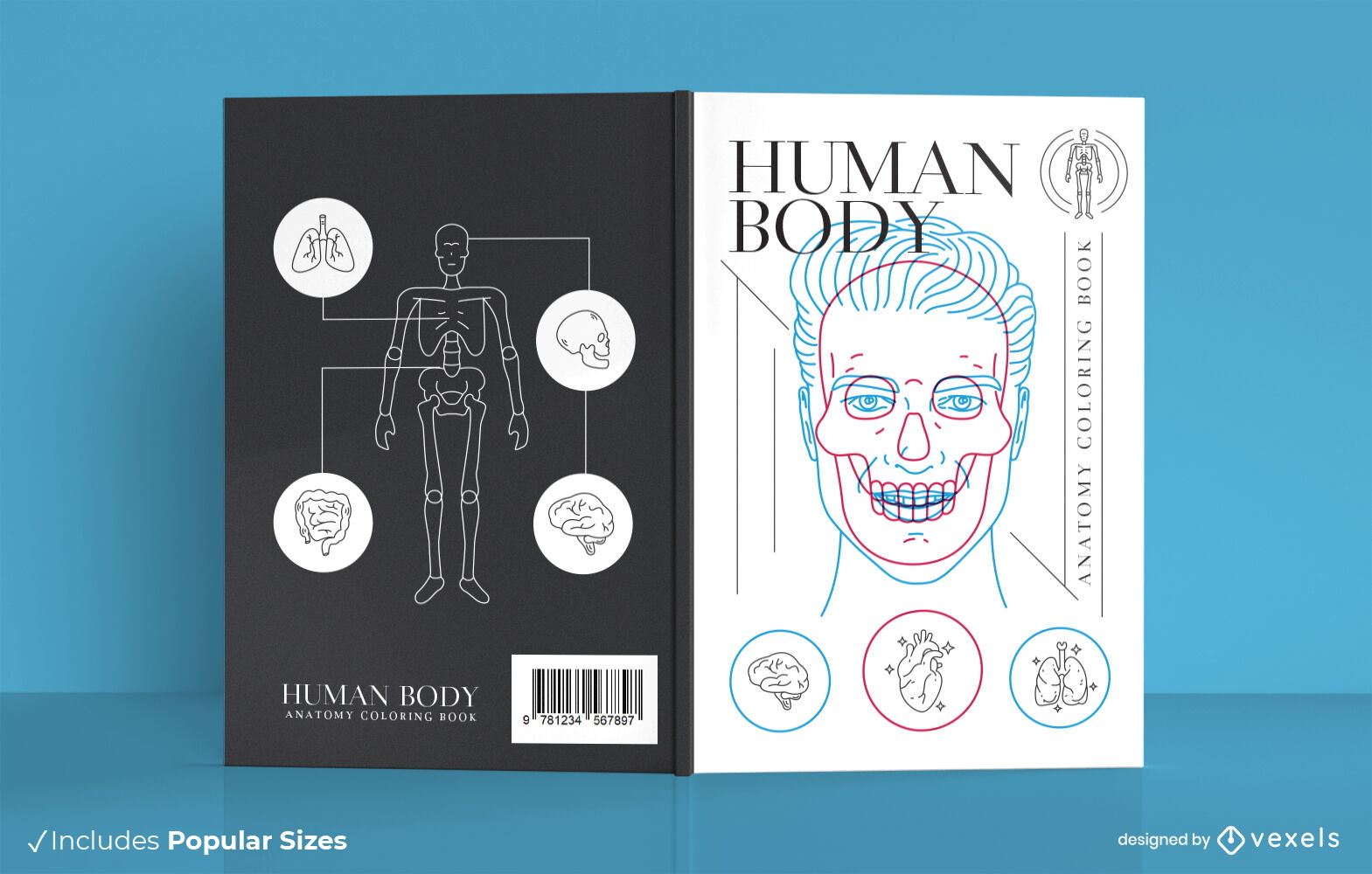 Diseño de portada de libro de anatomía.
