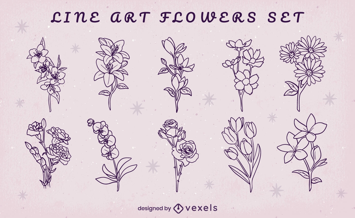 Conjunto de flores desenhadas à mão