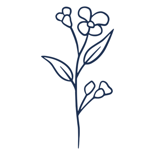 AVC ornamento de planta de flor simples Desenho PNG