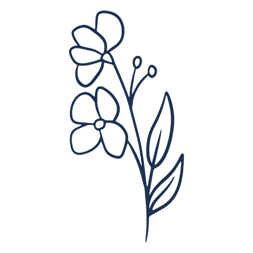 Simple stroke flowers PNG Design