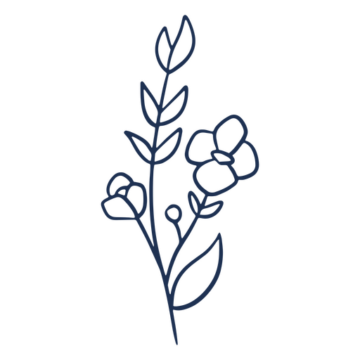 Planta de flor de curso simples Desenho PNG
