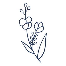 Simple stroke flower leaves plant PNG Design Transparent PNG
