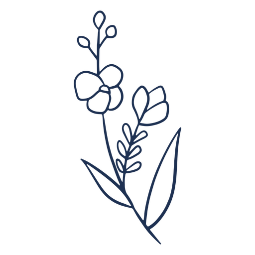 A flor do curso simples deixa a planta Desenho PNG
