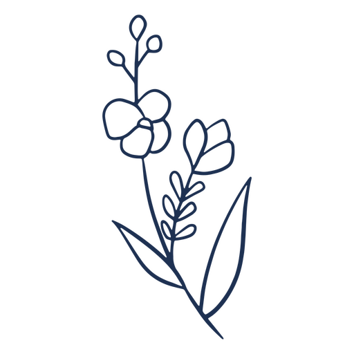 Einfache Strichblume verlässt Pflanze PNG-Design