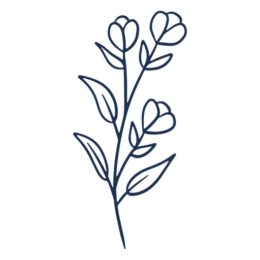 Curso simples deixa planta de flores Desenho PNG
