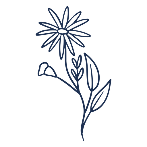 Flor de margarita de trazo simple Diseño PNG