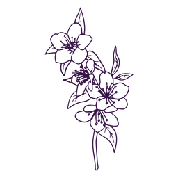 Flores de flor de cerejeira de arte de linha simples Desenho PNG
