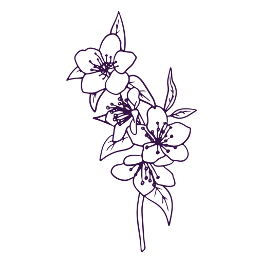 Einfache Linienkunstkirschblütenblumen PNG-Design
