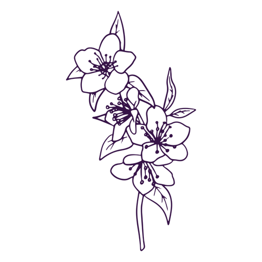 Einfache Linienkunstkirschbl?tenblumen PNG-Design