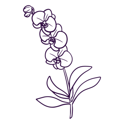 Flores de arte de orquídeas de linha simples Desenho PNG