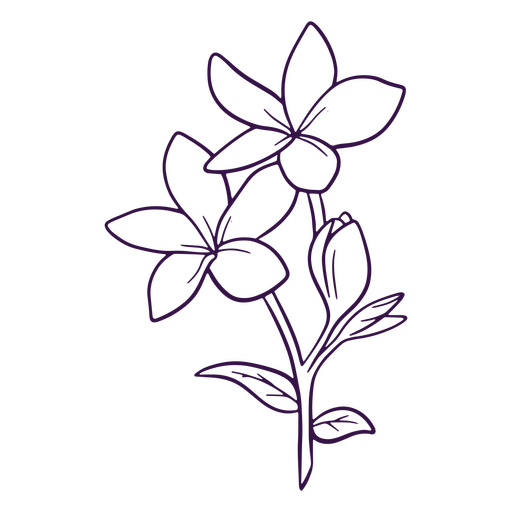 Flor de folha delicada de arte de linha simples Desenho PNG