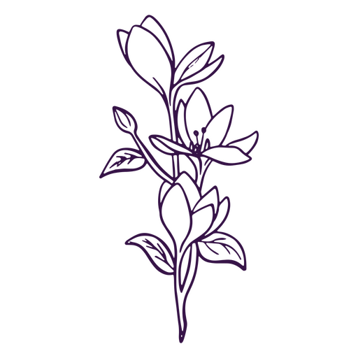 Flor de ciclâmen de arte de linha simples Desenho PNG