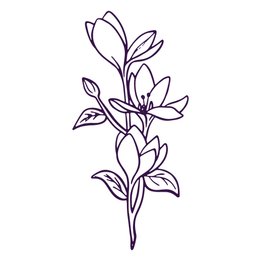 Simple line art cyclamen flower PNG Design