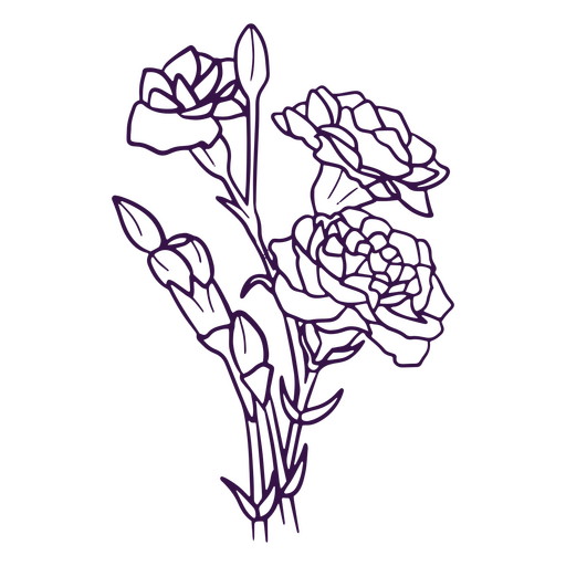 Pfingstrosenblumen mit einfachen Strichzeichnungen PNG-Design