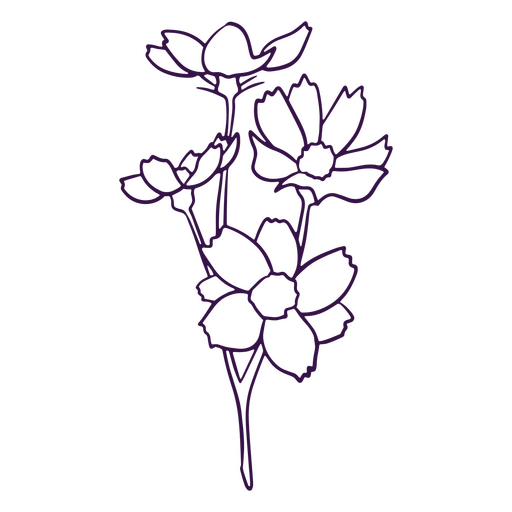 Flores delicadas de arte de línea simple Diseño PNG