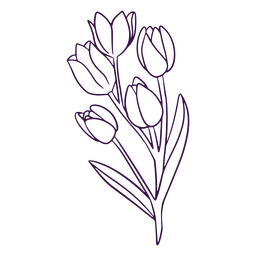 Einfache Strichzeichnungen Tulpen PNG-Design