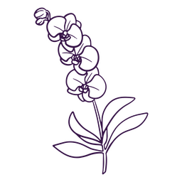Arte de linha de ícone de planta de flor Desenho PNG