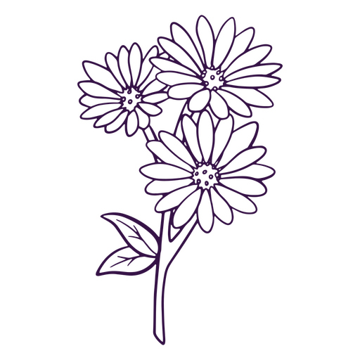 Simple daisies flowers icon line art PNG Design