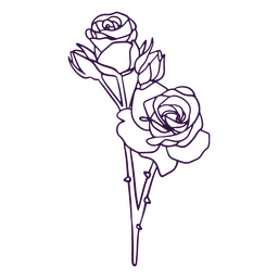 Roses flowers icon line art PNG Design Transparent PNG