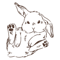 Animal conejito dibujado a mano Diseño PNG