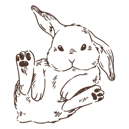 Animal conejito dibujado a mano Diseño PNG