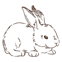Animal conejito lateral dibujado a mano Diseño PNG