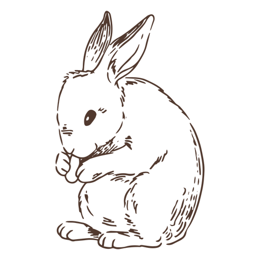 Mão desenhada comendo coelho animal Desenho PNG