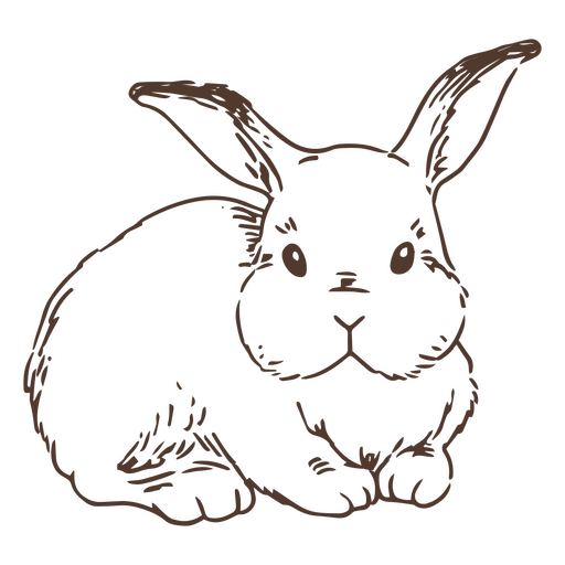 Hand drawn front bunny animal PNG Design
