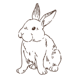 Hand drawn simple bunny animal PNG Design