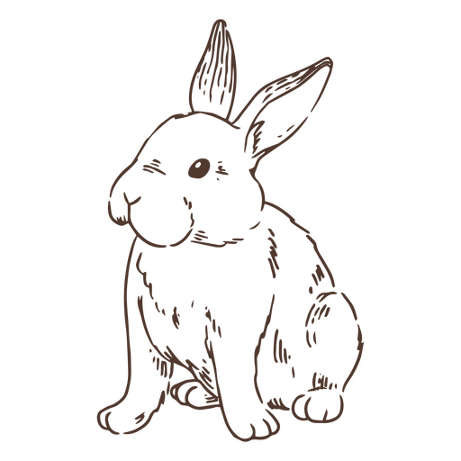 Hand drawn simple bunny animal PNG Design