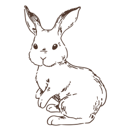 Animal conejo simple dibujado a mano Diseño PNG