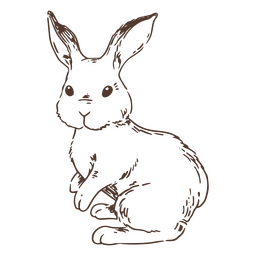 Hand drawn simple rabbit animal PNG Design Transparent PNG