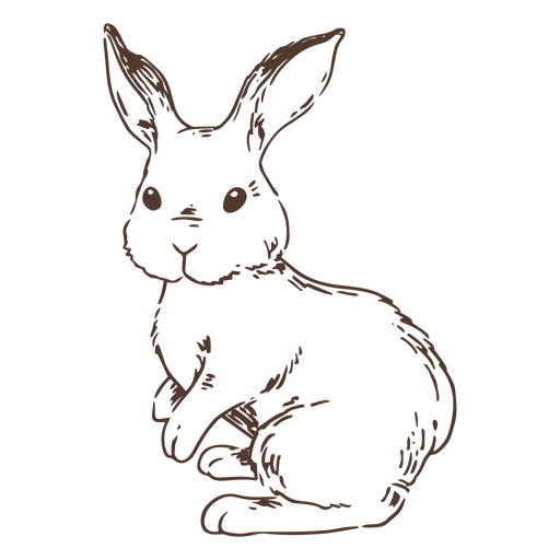 Hand drawn simple rabbit animal PNG Design