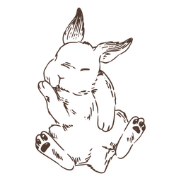 Hand drawn cute rabbit animal PNG Design Transparent PNG