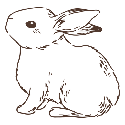 Animal conejo lateral dibujado a mano