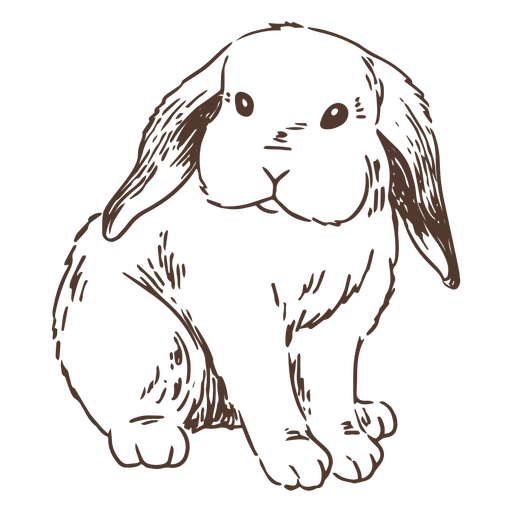 Animal conejo frontal dibujado a mano Diseño PNG
